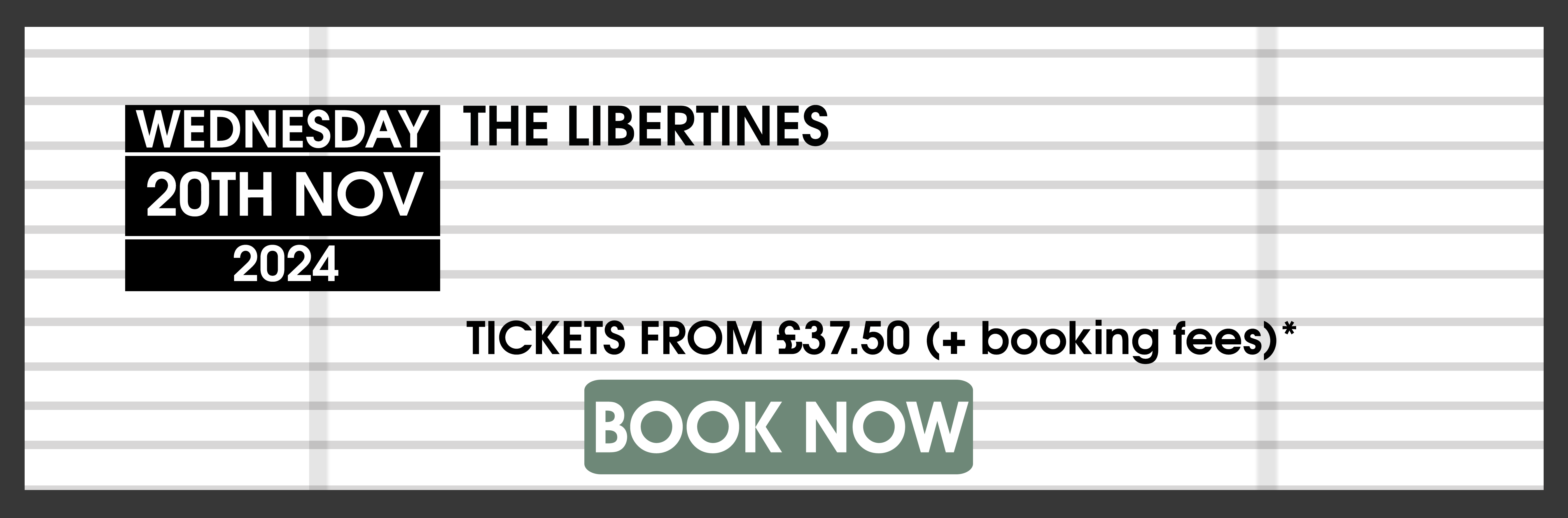 20.11.24 The Libertines BOOK N