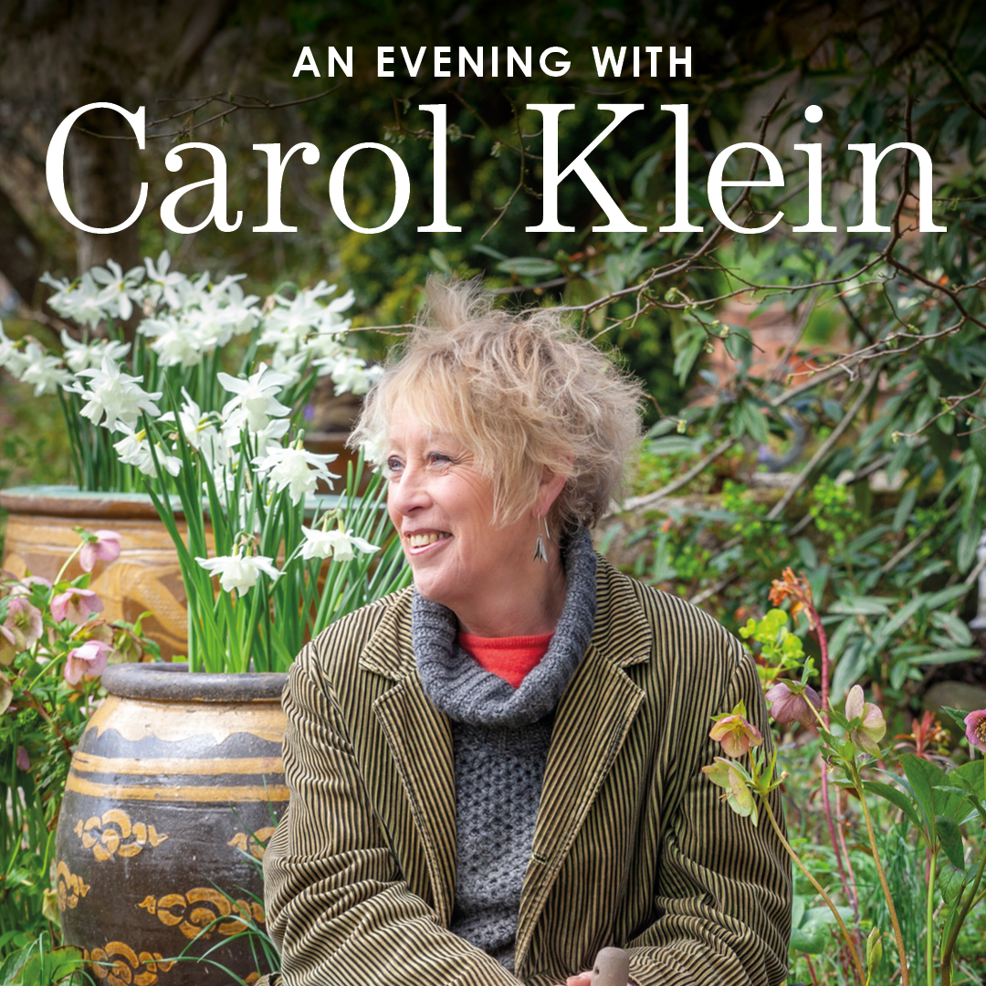 CAROL KLEIN 1080X1080-TITLES